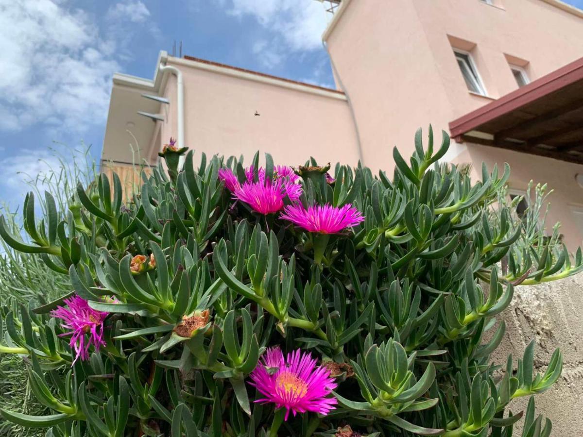 Vila Bella Jaz Budva Exterior photo